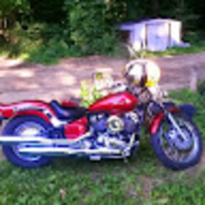 Meet your Posher, Adam